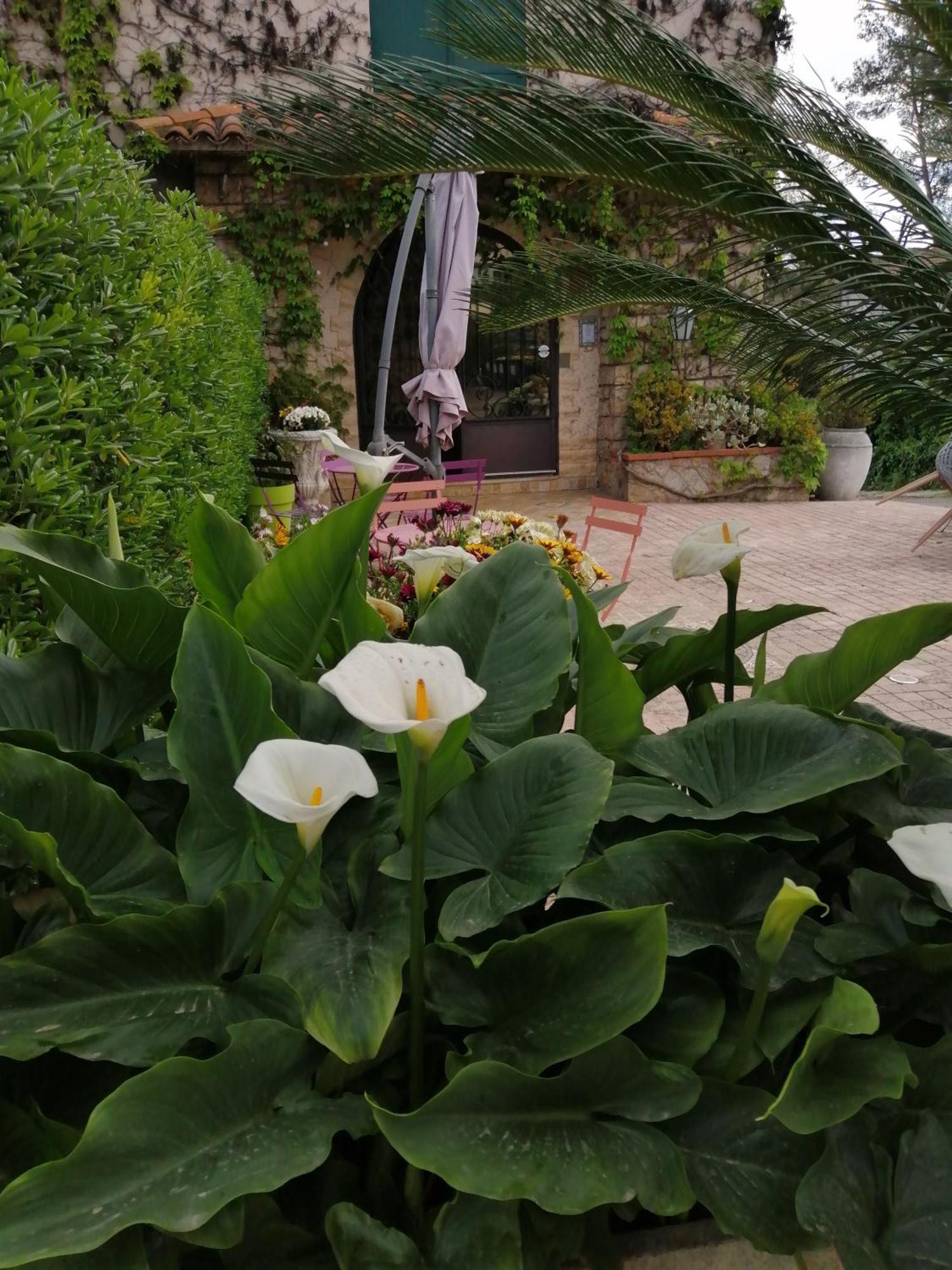 Auberge Les Aromes กราส ภายนอก รูปภาพ
